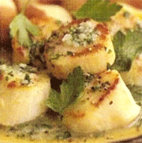 Scallops